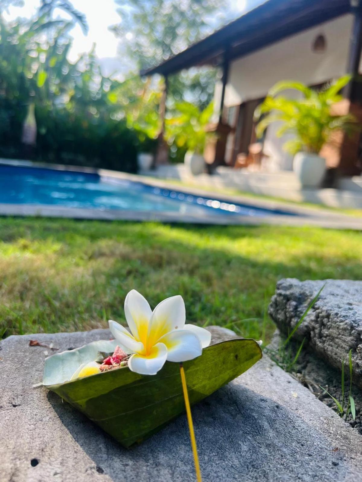 Wiryaroja Guest House Canggu Exterior foto
